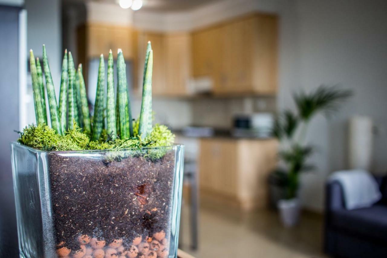 Flatguest Aquario Apartman Las Palmas de Gran Canaria Kültér fotó